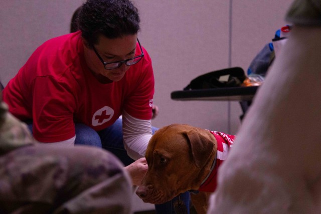 The Animal Visitation Program (AVP) from the American Red Cross Campaign provides therapeutic service dogs to the community March 5 at Camp Casey, South Korea. The AVP is a Red Cross Volunteer program that allows families, communities, military...