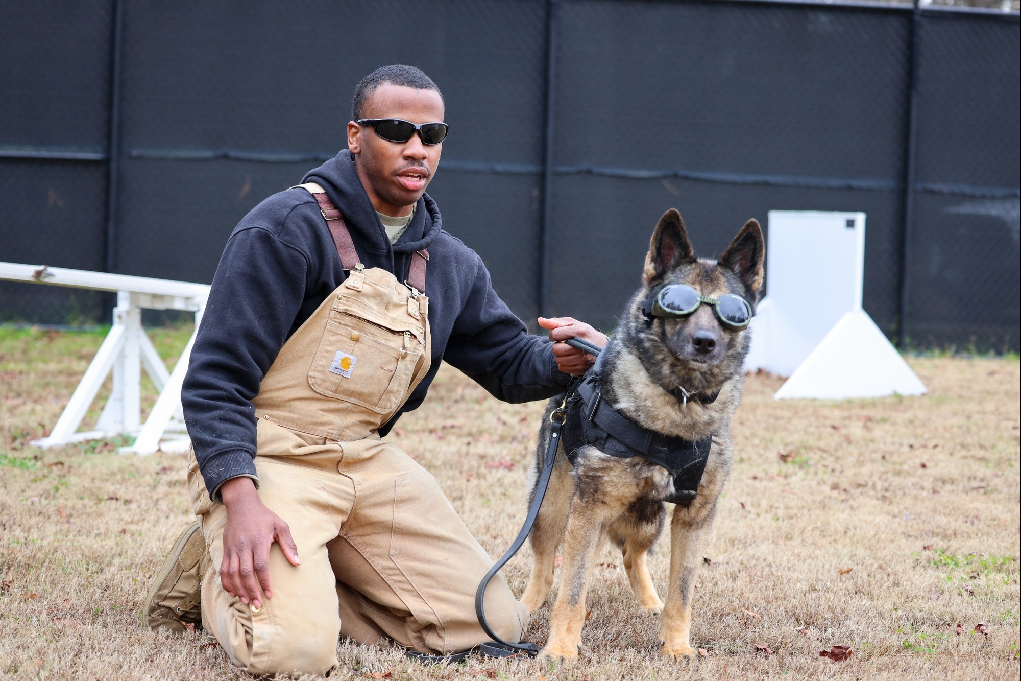 Working dog hot sale trainer