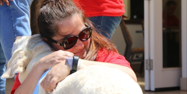 For the love of Canines