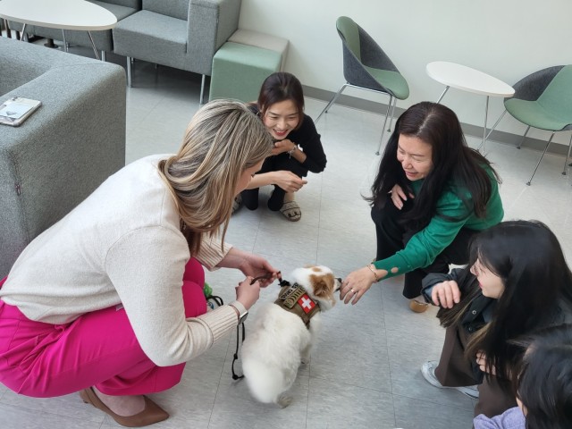 The American Red Cross comfort dogs provide paws-itive energy to Army engineers in Korea