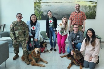The American Red Cross comfort dogs provide paws-itive energy to Army engineers in Korea