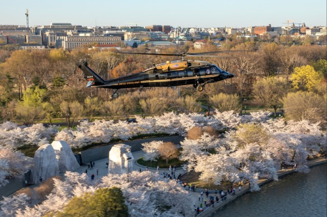 12th Aviation Battalion Flies Over Washington, D.C. Area During Peak Cherry Blossom Bloom