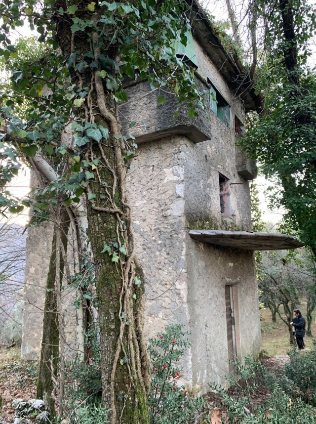 A vertical tail stabilizer from the B-24 Liberator &#34;Ready, Willing and Able&#34; was built into a bird hunting tower near Arcugnano, Italy. The plane was shot down Dec, 28, 1943 while conducting a bombing raid over Vicenza.