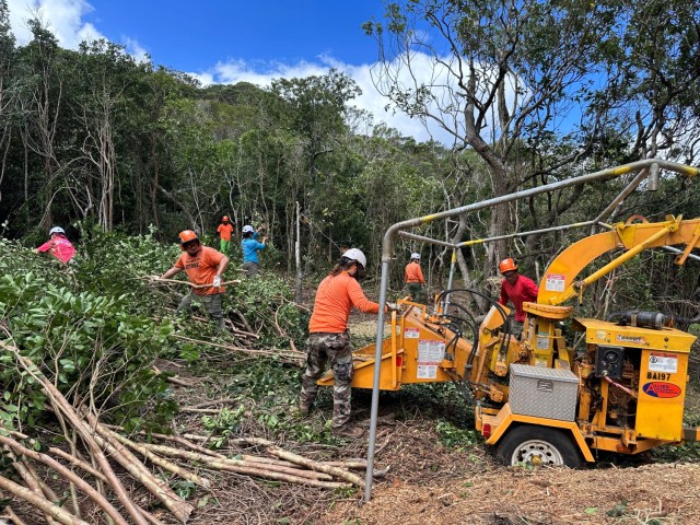 The collaborative effort kicked off with the delivery of a heavy-duty wood chipper by a 25th CAB-operated Army Blackhawk helicopter. This critical piece of equipment is being used to clear invasive strawberry guava trees that have overwhelmed the local flora. 