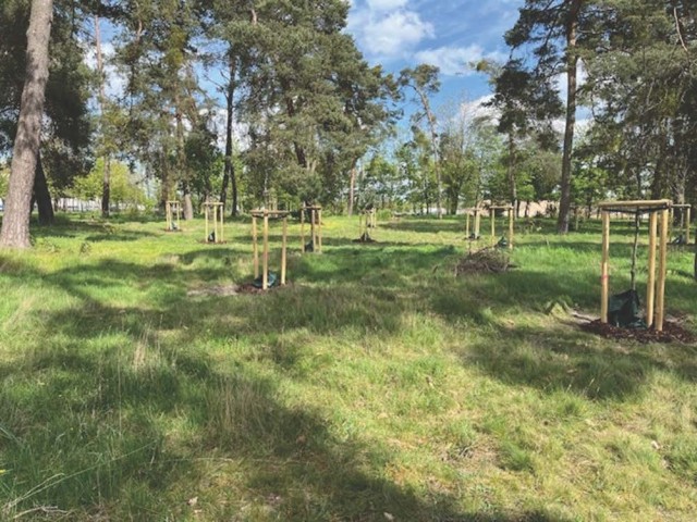 Sustaining Germersheim&#39;s Greenery: USAG-Rheinland-Pfalz commits to saving the planet, one tree at a time