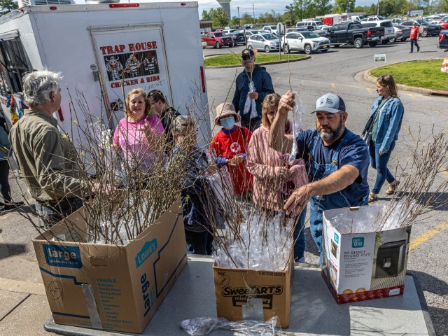 Members of the Natural Resources Branch hand out tree seedlings in honor of Arbor Day at Fort Knox, Kentucky April 26, 2024. All three options handed out, white flowering dogwood, Eastern redbud and Shumard Red Oak, are native trees to Kentucky....
