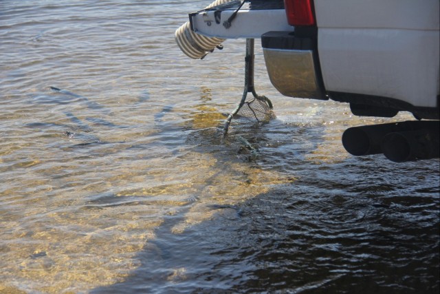 USFWS stocks more than 15,000 rainbow trout in Fort McCoy’s waterways for 2024 fishing season