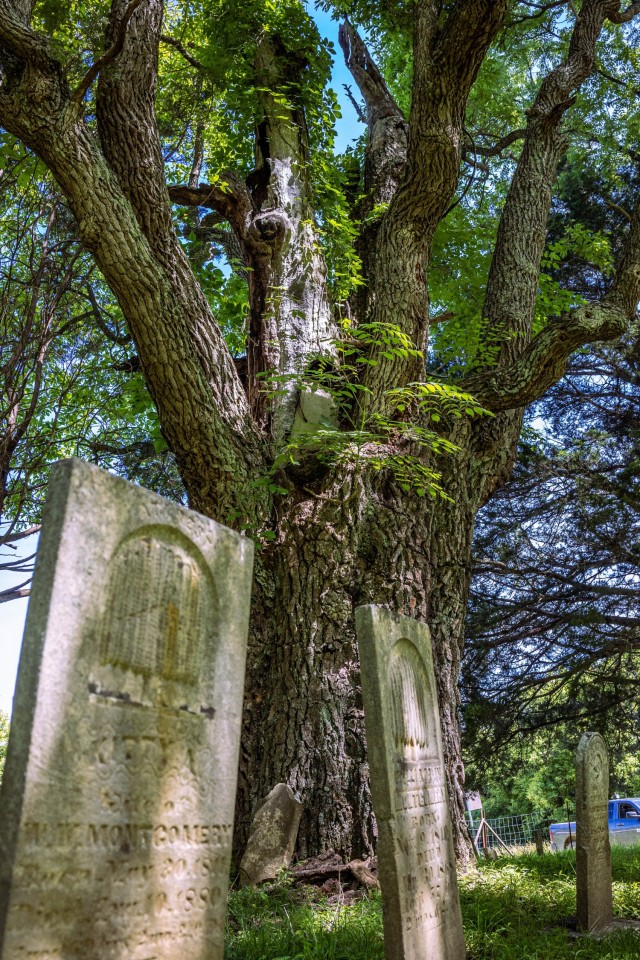 The Lincoln Memorial Cemetery at Fort Knox, Kentucky is maintained by the Army National Guard Enlisted Personnel Action Branch and U.S. Army Human Resources Command on the installation.