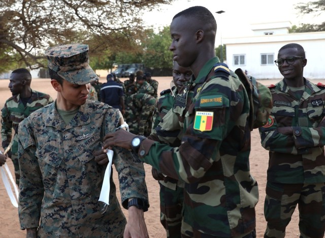 Armed Forces of Senegal demonstrate combat lifesaving skills during African Lion 2024