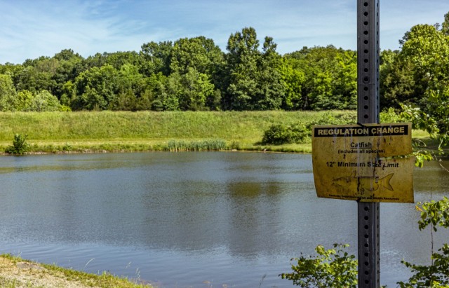 Lt. Keith Beshears, conservation law enforcement officer at the Fort Knox Directorate of Emergency Services, observes Douglas Lake May 31, 2024.