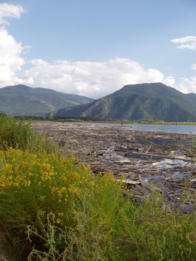 Albeni Falls Dam hosts Natural Resource Master Plan Meetings