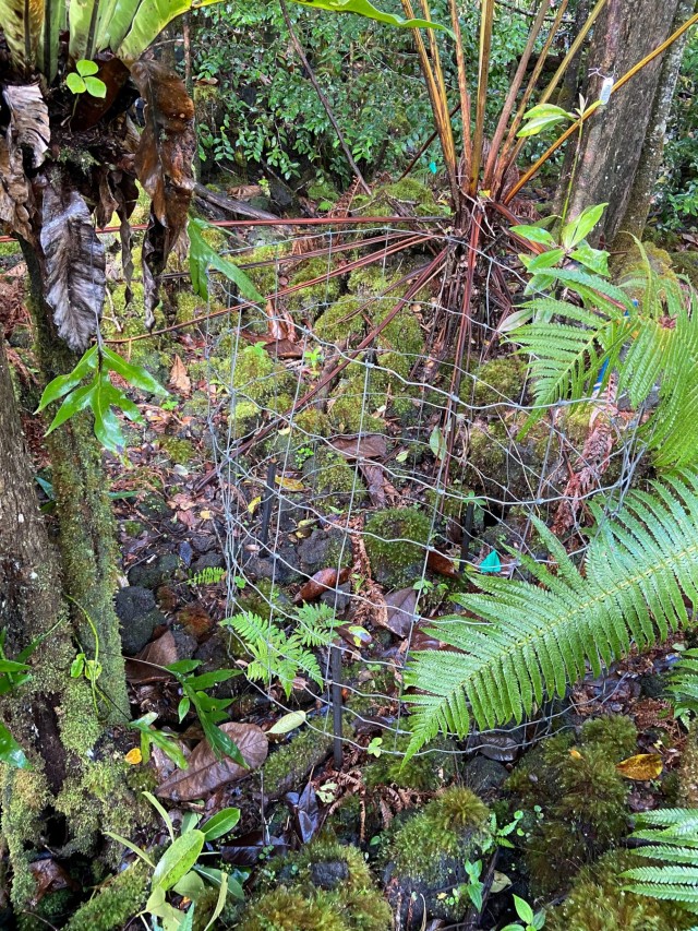 Microhabitats