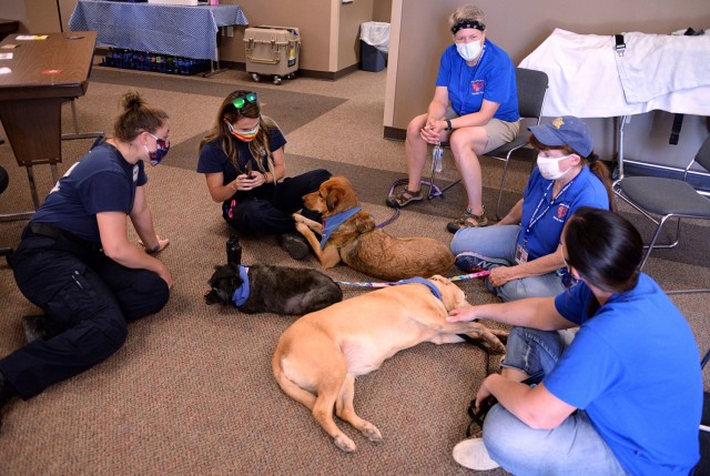 Rebecka Clark, emergency medical technician, and Natalie McGinnis, paramedic, visit with Fort Leavenworth Human Animal Bond members and their dogs — including Candy Bowman and her Labrador retriever mix, Abby; Eileen Jesmer and her cairn...