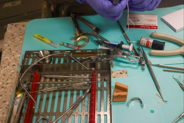 Operation Dental Protection: A Story from MKAB
