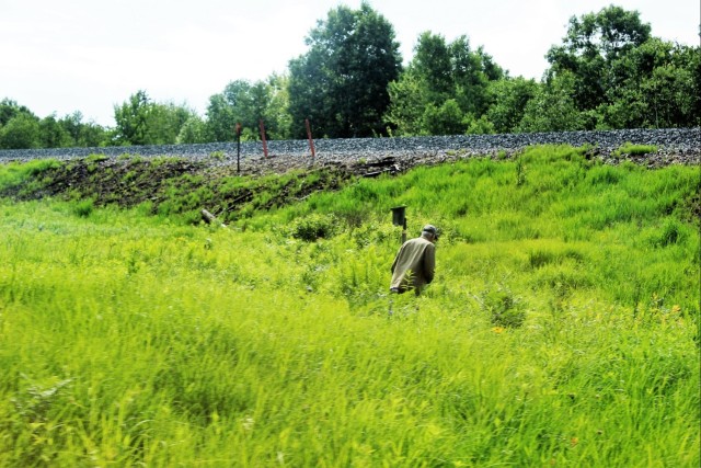 Fort McCoy part of annual statewide bluebird survey