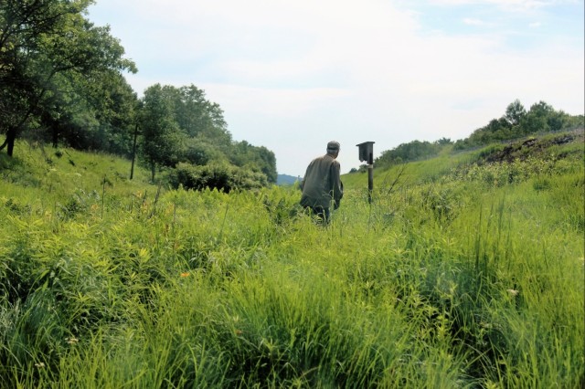 Fort McCoy part of annual statewide bluebird survey