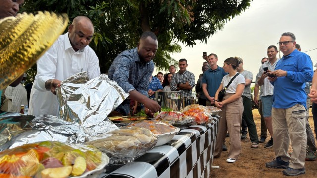 Combined American and Chadian medical exercise concludes | Article ...