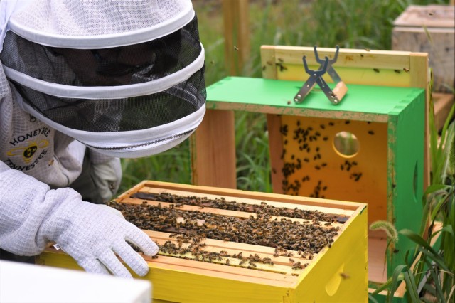 The buzz of Cordell Hull Lake: USACE’s new pollination effort