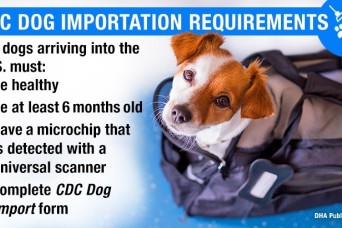 DHA Veterinary Services Explains Updated CDC Dog Importation Guidelines