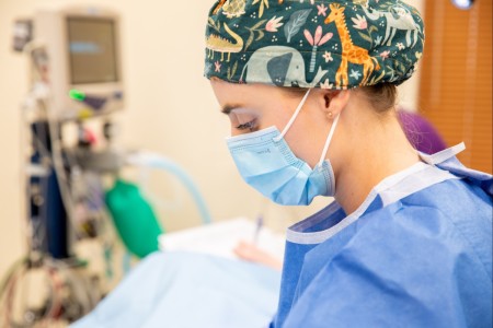 U.S. Army Capt. Madison Bartosh, a veterinarian assigned to Veterinary Readiness Activity, Fort Belvoir, performs surgery at Fort Belvoir, Virginia, May 8, 2024. The surgery was part of VRAFB’s annual training exercise which ai...