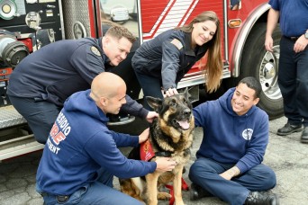 Firefighters at the Presidio of Monterey find support in therapy dog visit