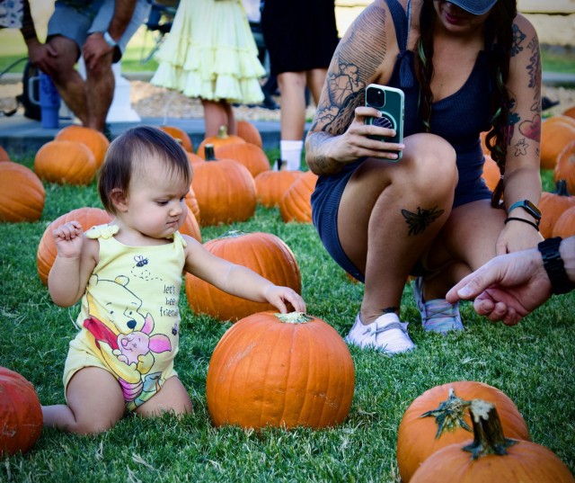 Fort Irwin Celebrates Oktoberfest 2024, A military child makes her selection from the festival Pumpkin Patch 28 September.