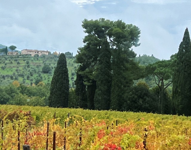 Discovering the heart of Chianti with Outdoor Recreation