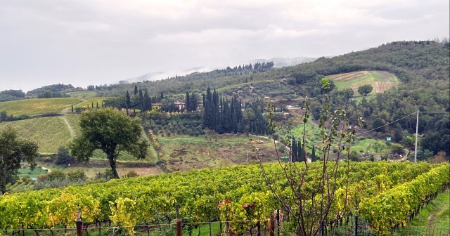 Discovering the heart of Chianti with Outdoor Recreation