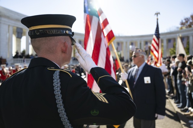 Visitors attend the 71st National Veterans Day Observance at Arlington National Cemetery, Arlington, Virginia, Nov. 11, 2024.