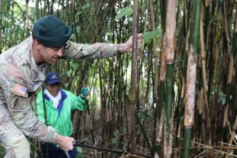 USAG Japan helps local organization harvest bamboo to support preservation of Japan’s culture