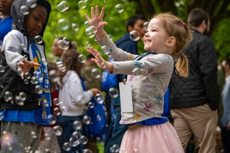 Bubbles