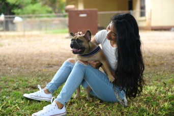 Additional reimbursement authorized for pet transportation from countries with higher rabies risk