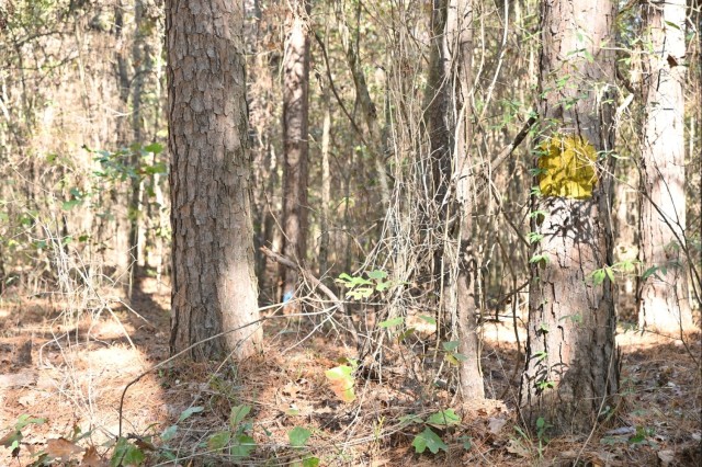Timber Management for Habitat Management