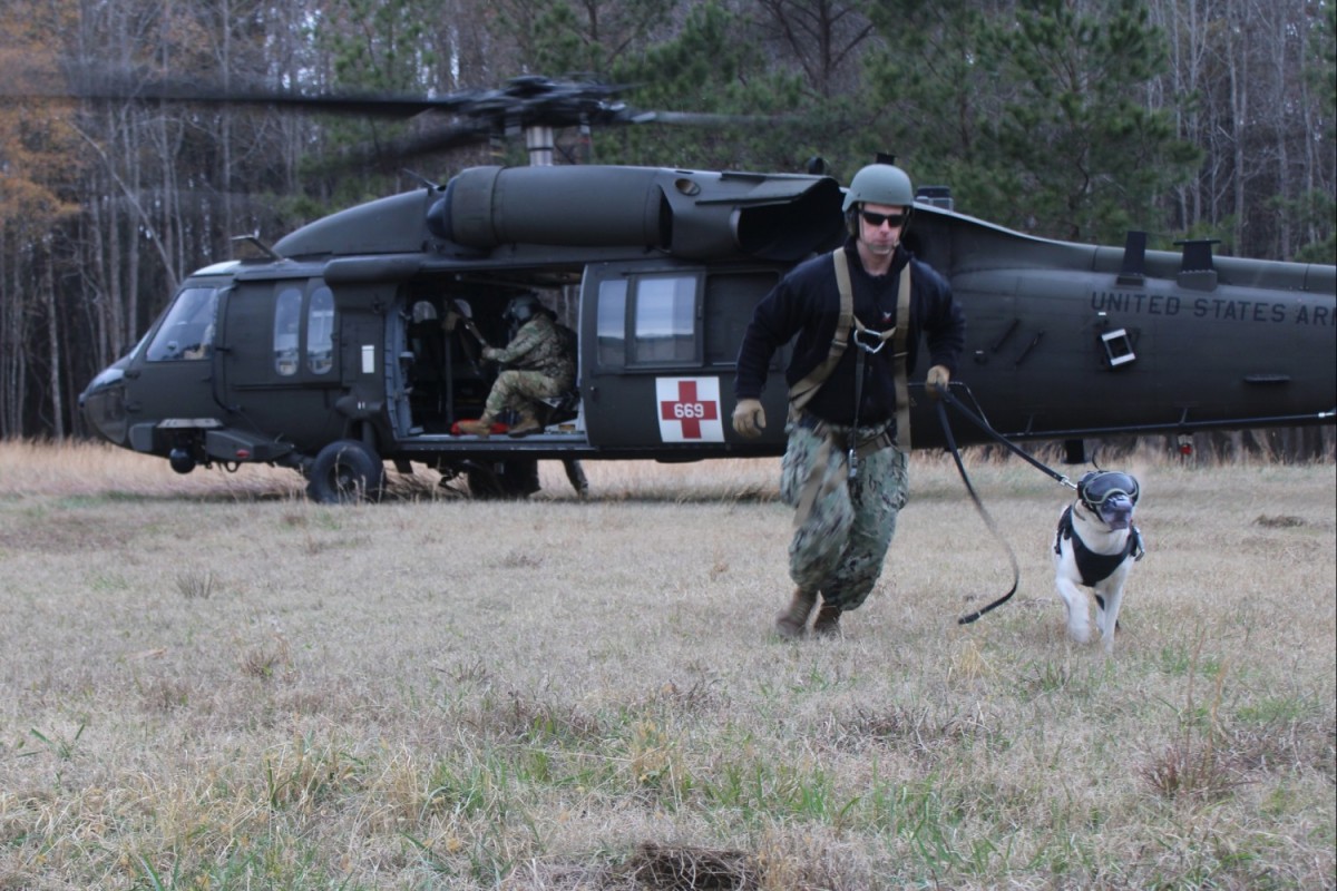 Fort gregg adams alberga entrenamiento de perros de trabajo militar 1