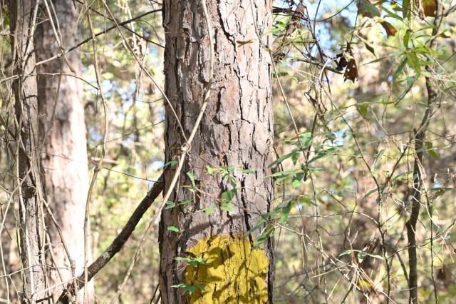 Timber Management for Habitat Management