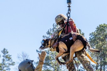 FORT JOHNSON, La. — A training collaboration brought together UH-60 Blackhawk crew and critical care flight paramedics from Cajun DustOff, 1st Battalion...