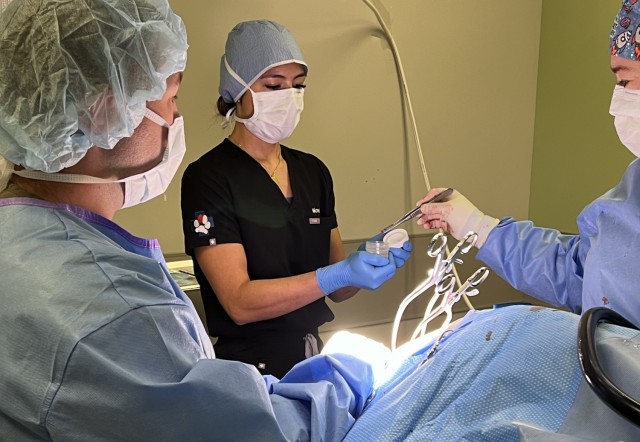 Military Working Dog, Dino, undergoing surgery.