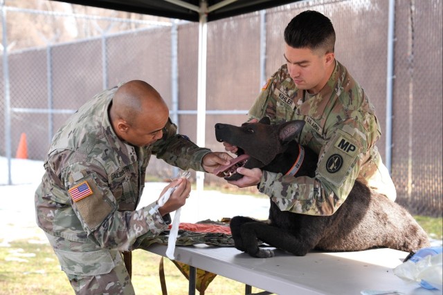 Department of Defense Staff visit 2d MWD Detachment