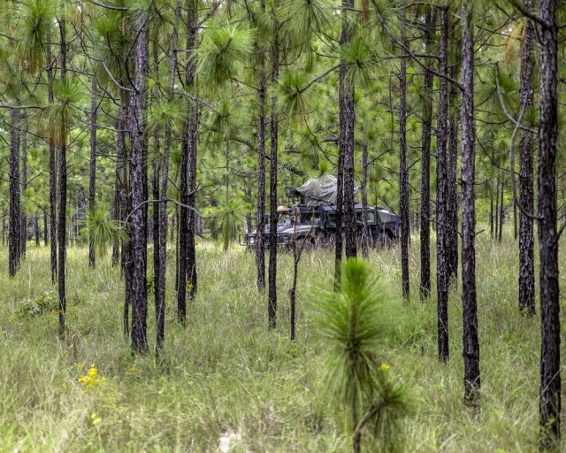 Cavalry scouts with B Troop, 2nd Squadron, 101st Cavalry maneuver at JRTC in July 2016.