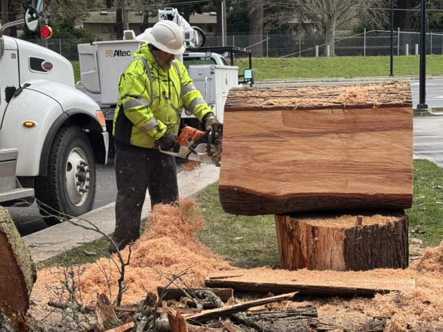 Commanding Generals’ Arboretum tree felled with dignity