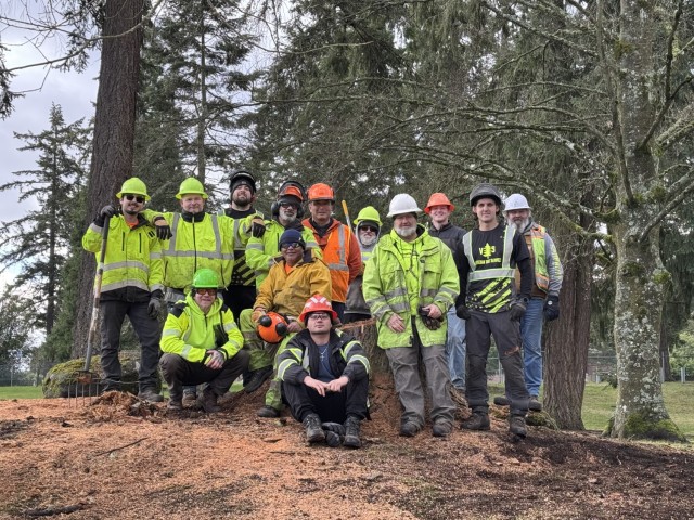 Commanding Generals’ Arboretum tree felled with dignity