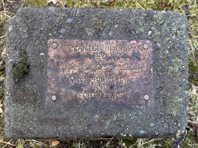 Commanding Generals’ Arboretum tree felled with dignity