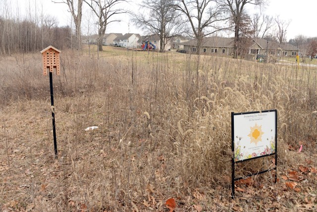 As part of her Gold Award project, Girl Scout Katie Moen planted a pollinator garden, seen here Feb. 3, 2025, by the Fort Leavenworth Frontier Heritage Communities Community Center at Fort Leavenworth, Kansas. Photo by Prudence Siebert/Fort...