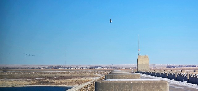 Volunteers spot 80 eagles at five USACE-Albuquerque District lakes during eagle watch surveys in January