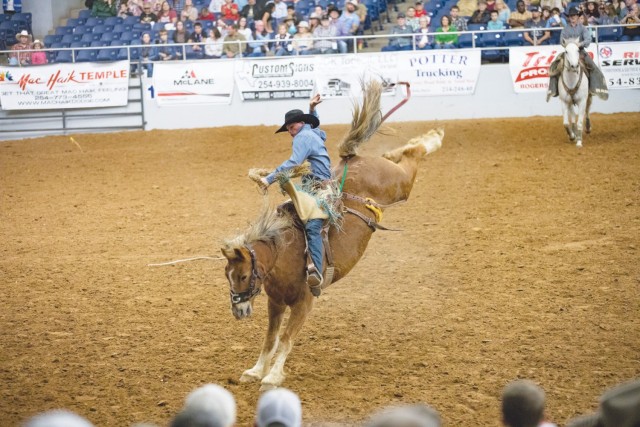 A man sits in a saddle on a horse while the horse kicks its back legs up into the air as people sit in stands and look.