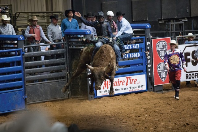A man sits on a bull jumping in the air as other look on.