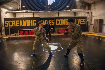 101st ABN DIV (AA) selects team for 2025 Lacerda Cup Combatives Competition