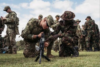 173rd Airborne Brigade, Somali Army train together at Justified Accord