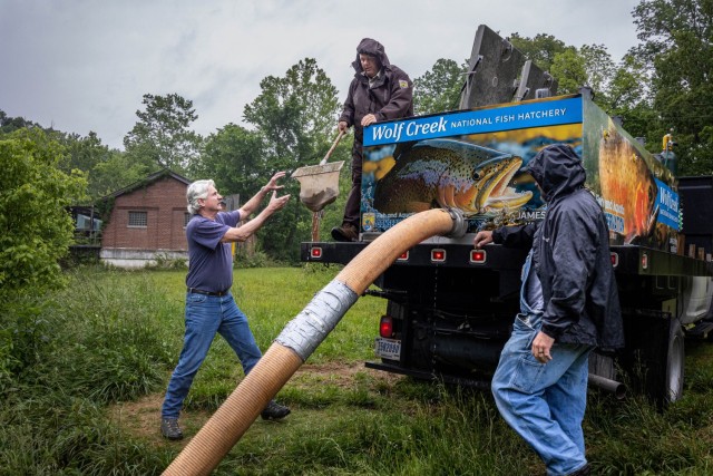Members of the Natural Resources Branch stock local water with fresh fish at Fort Knox, Kentucky May 14, 2024. The NRB recieved 1,500 fish from the Wolf Creek National Fish Hatchery and stocked both Otter Creek and Camp Carlson Lake with 750 trout...