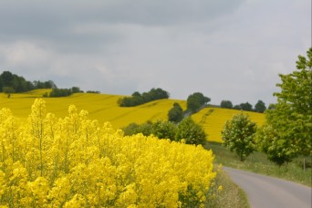TRAVELOGUE:
Hikers tread countryside marathon by marathon